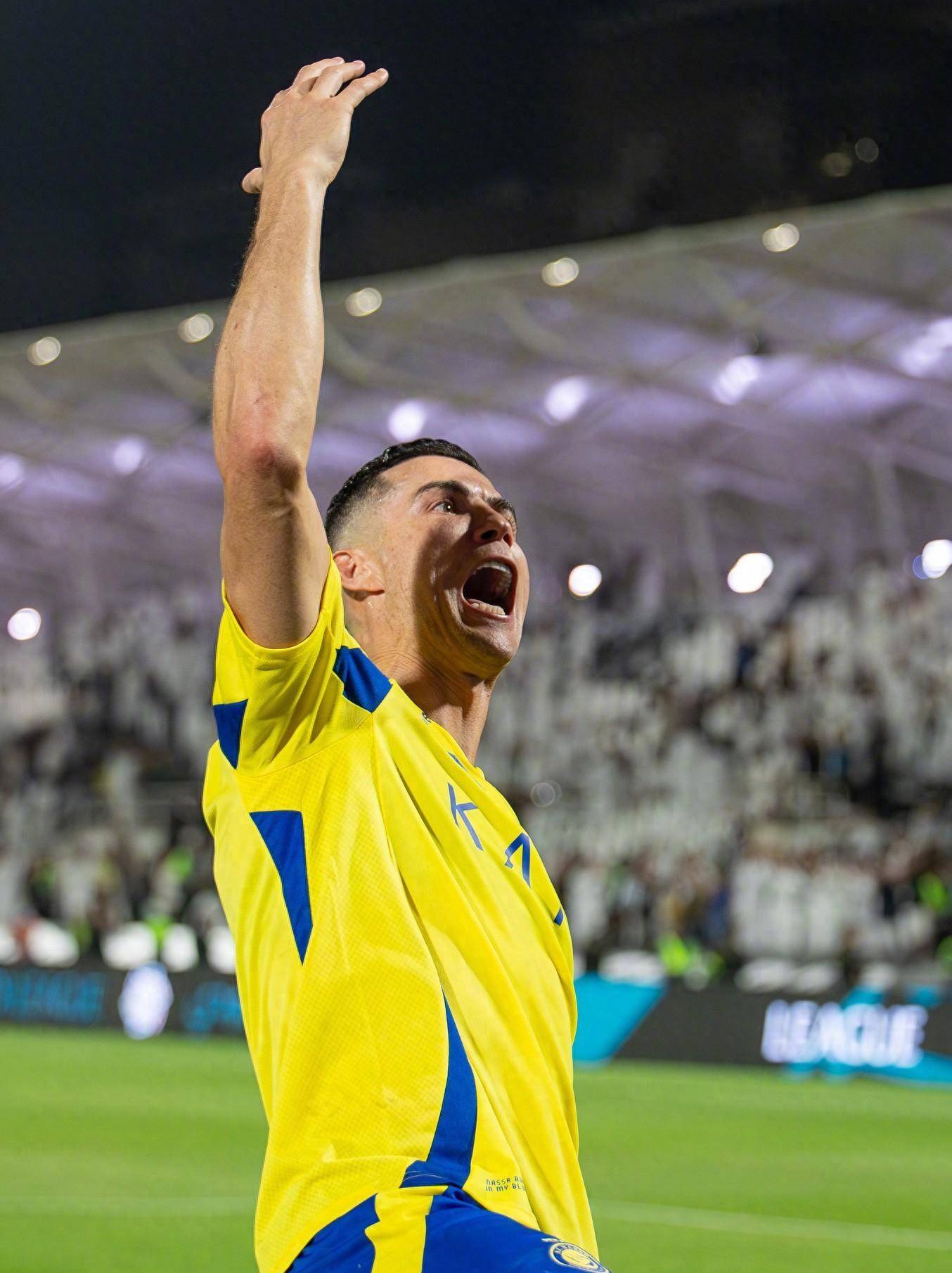 欧冠赛场频 欧冠赛场频