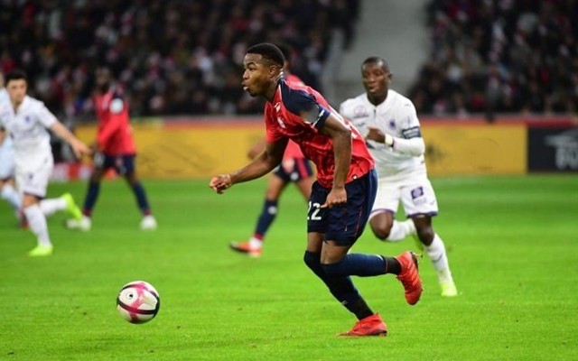 中国篮球公 中国篮球公