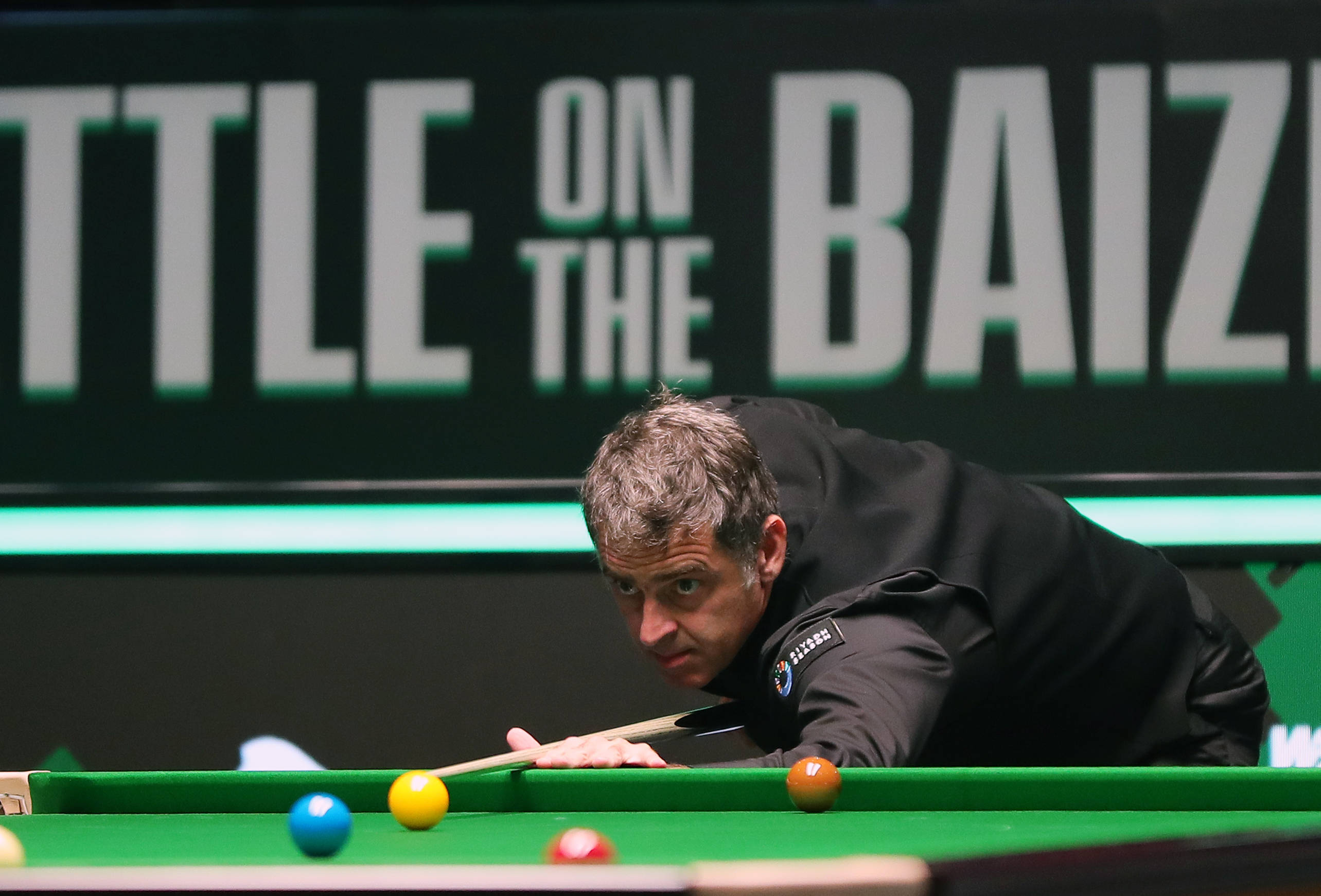 黑马崛起 黑马崛起